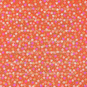 B4 Y7 - 25.5cm x 36cm