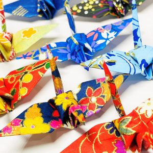 Assorted Yuzen Packs