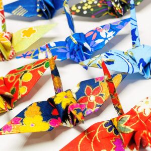 Assorted Yuzen Packs