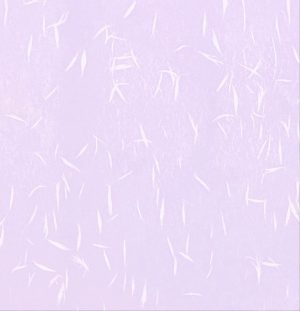 B4 HC402 - 25.5cm x 36cm