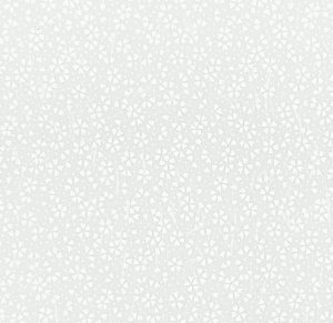 B4 HC200 -  25.5cm x 36cm