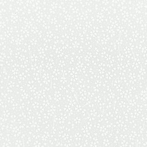B4 HC200 -  25.5cm x 36cm