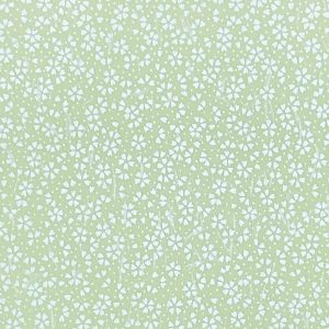 B4 HC202 - 25.5cm x 36cm