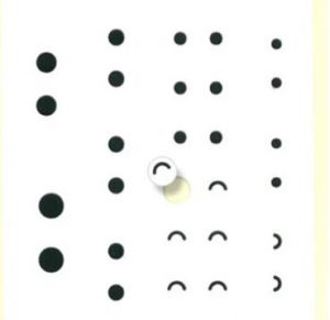Origami Book Series - Insects - Image 6